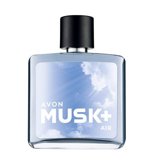 Туалетная вода Musk Air+ для него, 75 мл